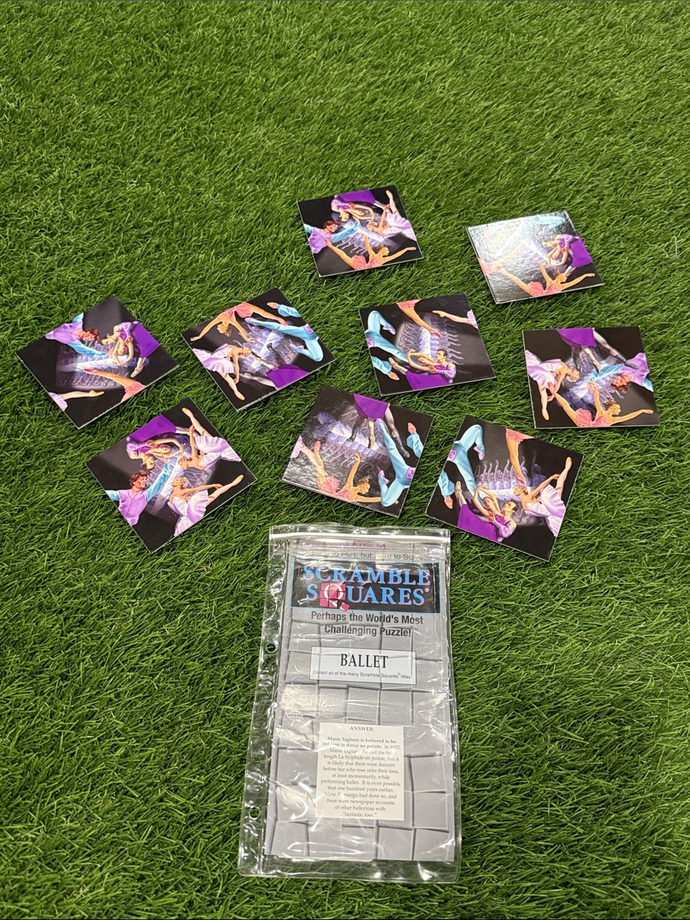 Scramble Squares - Ballet Puzzle